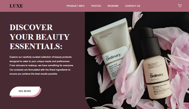 Website Design 4