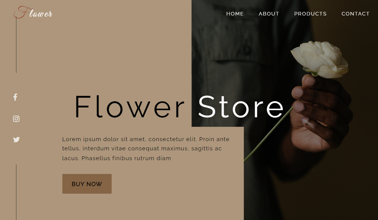 Website Design 3